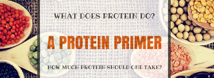 A Protein Primer